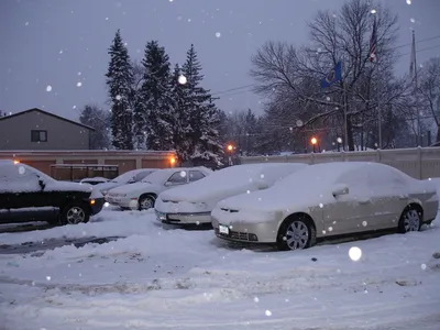 winter, nature, cars, parking, snow, covered, snowy, frozen, minnesota, minneapolis