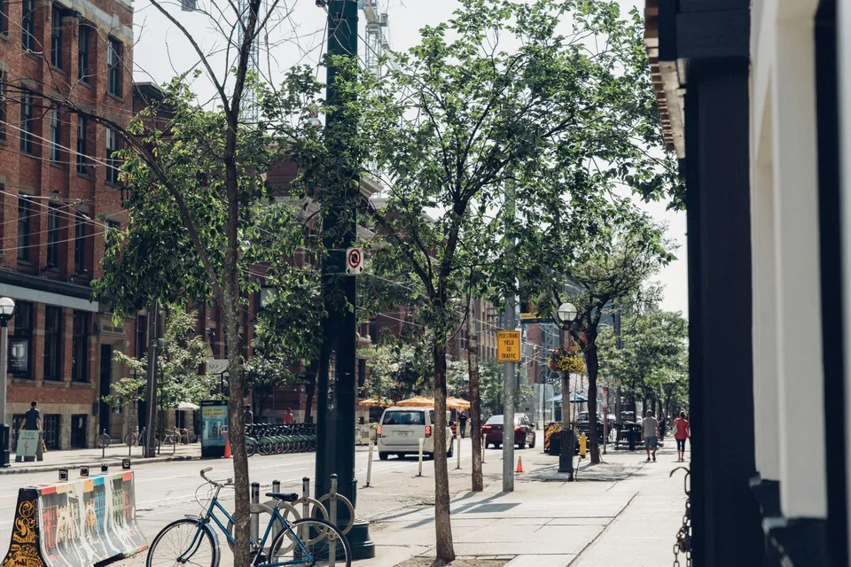 A lively city street lined with trees, bicycles, and pedestrians on a sunny day.